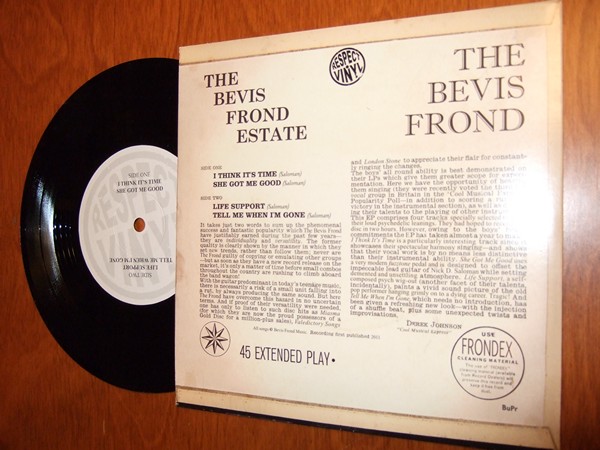 The Bevis Frond: Estate (back)