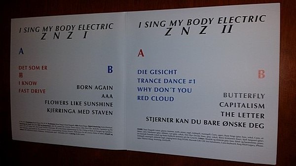 I Sing My Body Electric: Z N Z