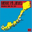 Diverse artister: Bærre På Jævel Vol. 2